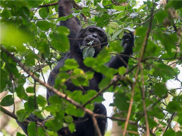 Kenya & Uganda small group holiday