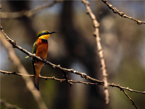 Kenya & Uganda small group holiday