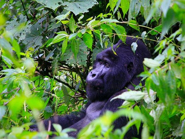 Kenya & Uganda small group holiday