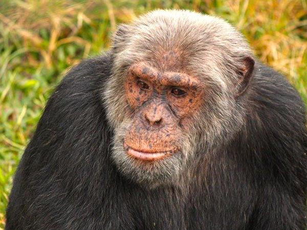 Kenya & Uganda small group holiday