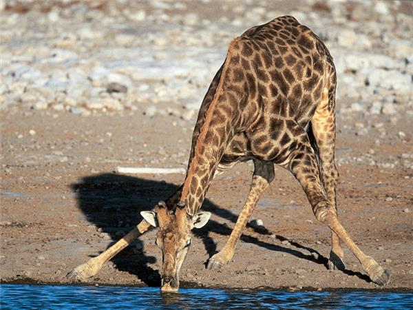 Namibia cycling holiday