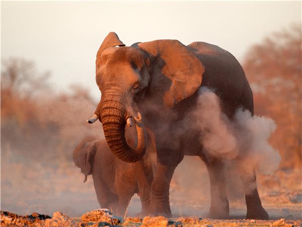 Namibia cycling holiday