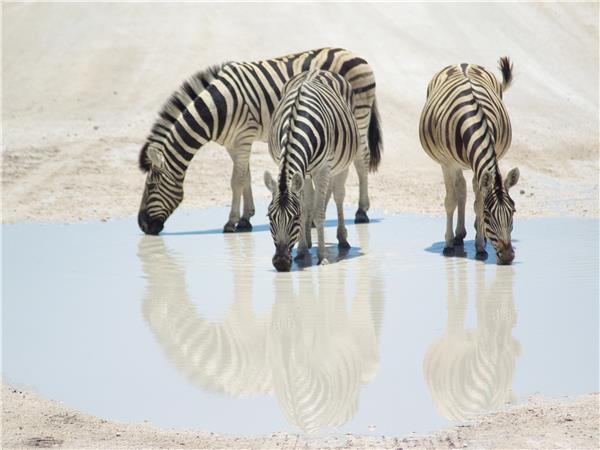 Namibia cycling holiday