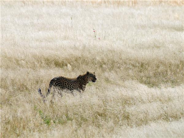 Namibia cycling holiday