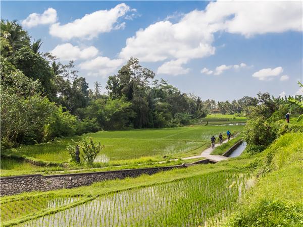 Indonesia luxury adventure holiday