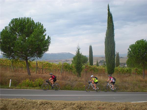 Tuscany cycling holiday through Siena & Chianti