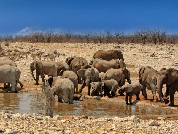 Holiday to Namibia