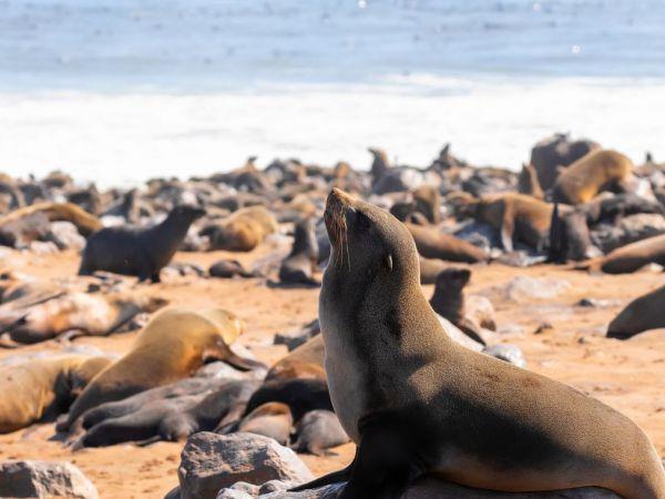 Holiday to Namibia