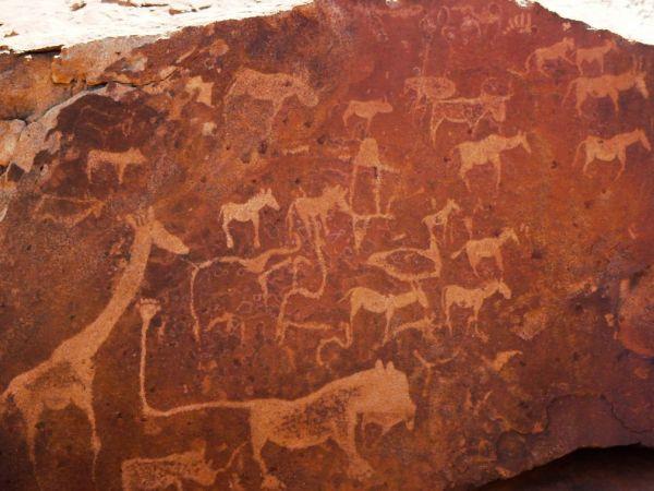 Holiday to Namibia