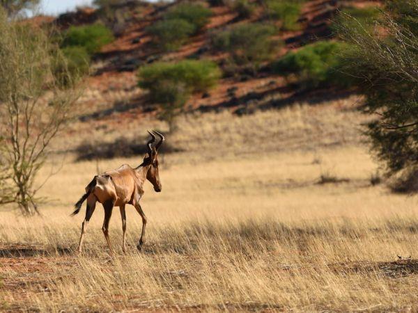 Holiday to Namibia