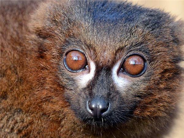 Highlights of Madagascar holiday