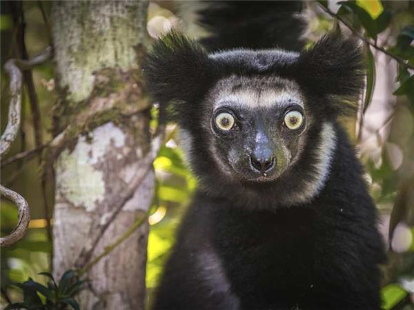Highlights of Madagascar holiday