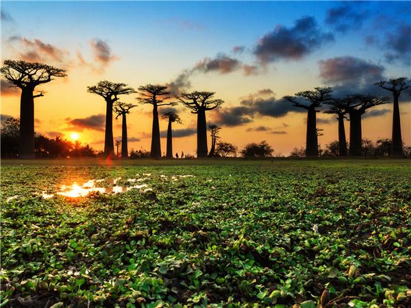 Madagascar small group holiday