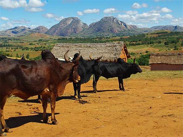 Madagascar small group holiday