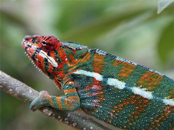 Madagascar small group holiday