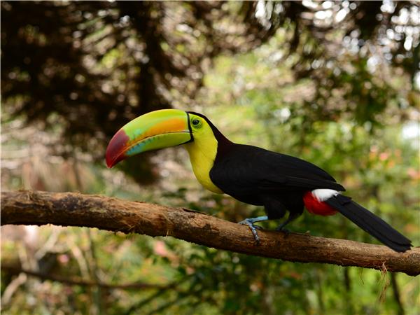 Belize small group adventure holiday