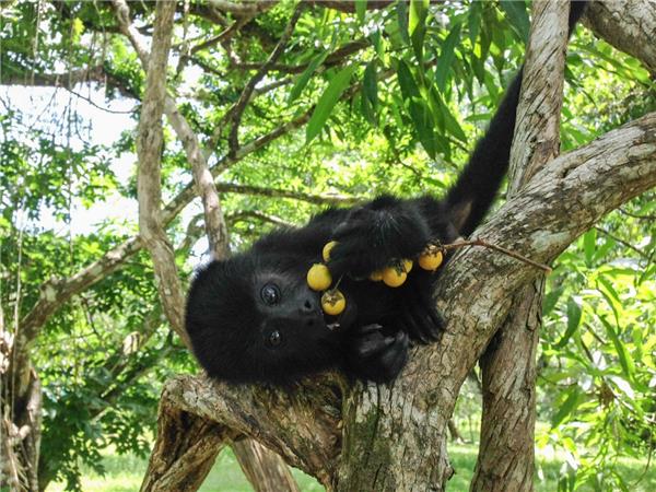 Belize small group adventure holiday