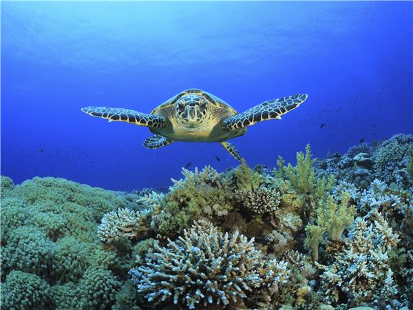 Belize small group adventure holiday