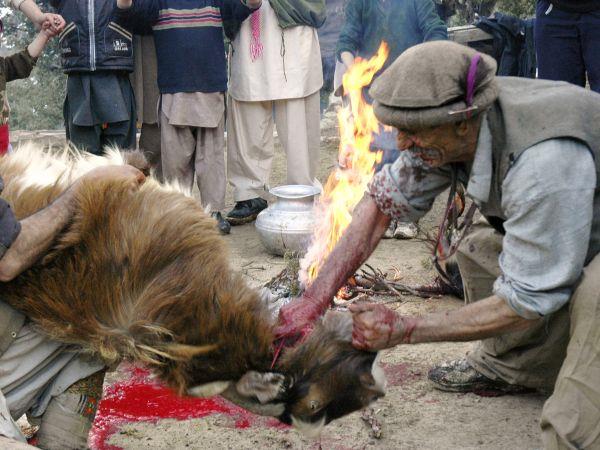 Kalash winter solstice holiday in Pakistan