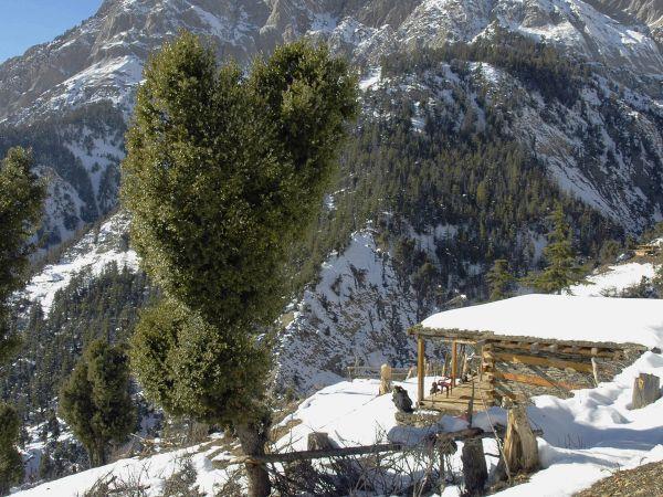 Kalash winter solstice holiday in Pakistan