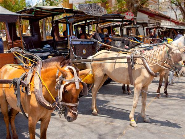 Philippines small group tour