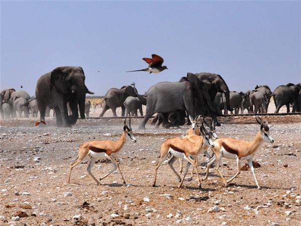 Cape Town to Vic Falls small group tour