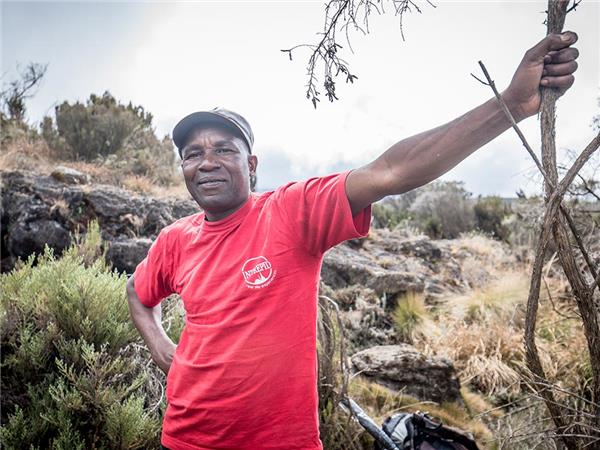 Climbing Kilimanjaro Marangu route holiday, Tanzania