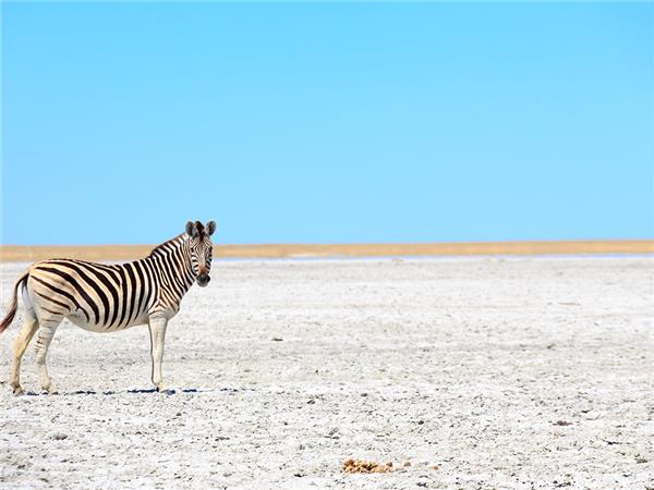 Southern Africa budget holiday