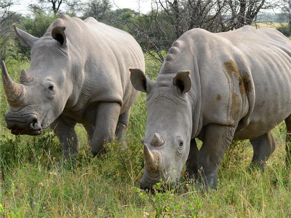 Southern Africa budget holiday