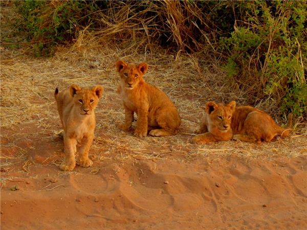 Southern Africa budget holiday