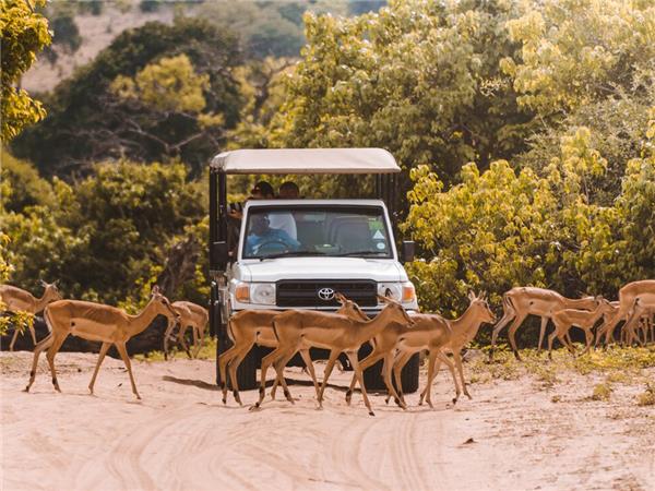 Southern Africa budget holiday