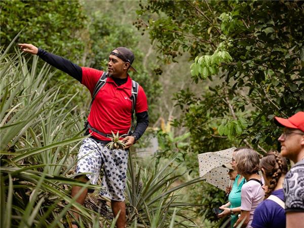 Borneo small group holiday