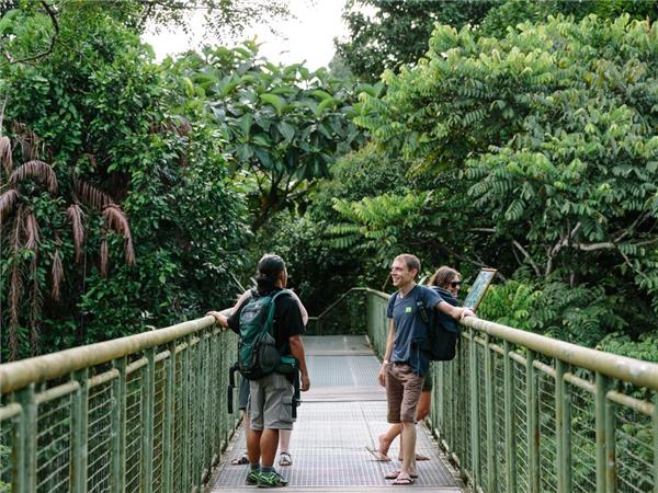 Borneo small group holiday