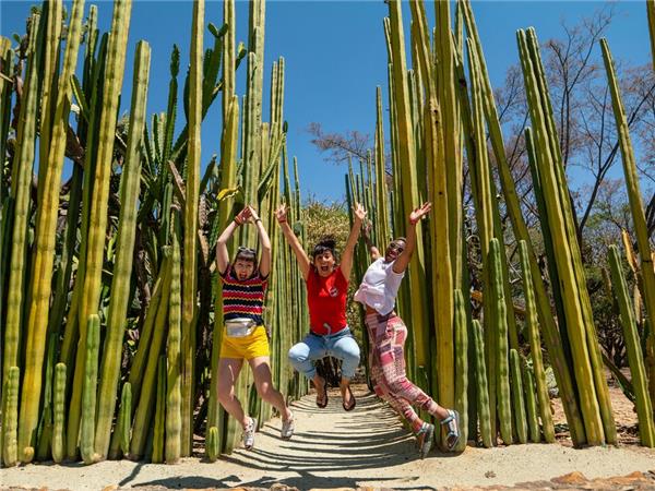 small group tours mexico