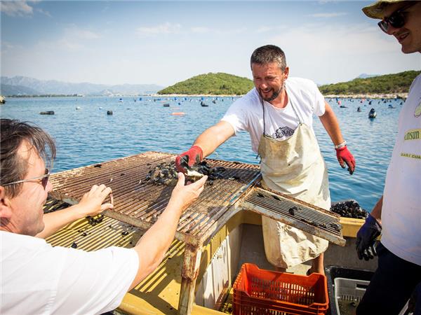 Croatia sailing holiday, Dubrovnik to Split