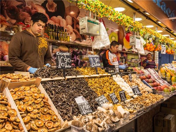 Barcelona to Rome small group holiday