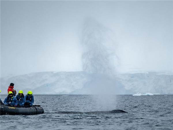 Best of Antarctica holiday