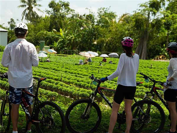 Vietnam cycling holiday, small group