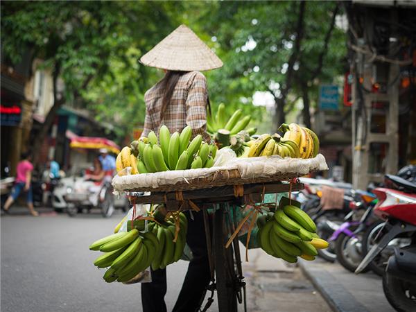 Vietnam cycling holiday, small group