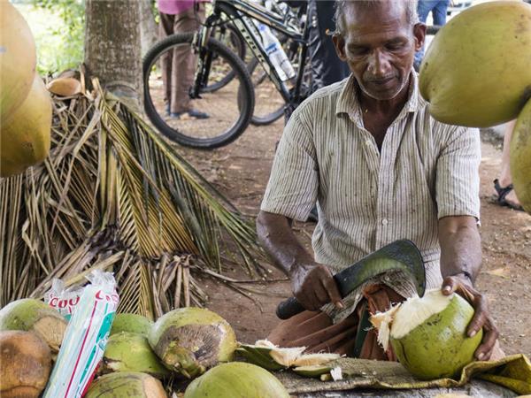 Backroads of Kerala cycling tour, India