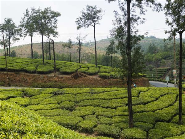 Backroads of Kerala cycling tour, India