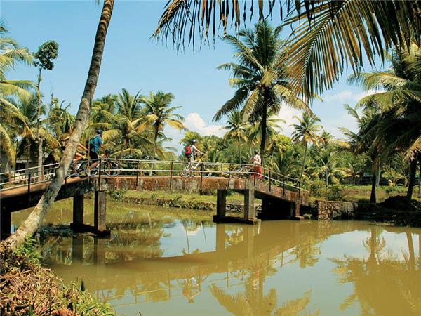 Backroads of Kerala cycling tour, India