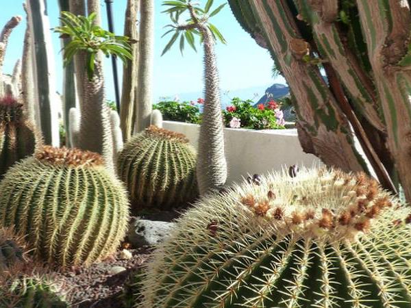 La Gomera self guided walking, Canary Islands