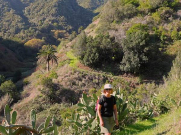 La Gomera self guided walking, Canary Islands