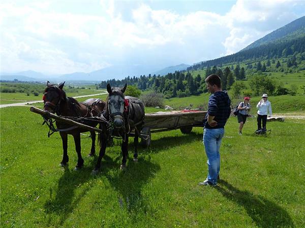 Carpathian Mountains holiday, conservation & culture