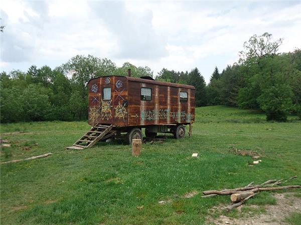 Carpathian Mountains holiday, conservation & culture