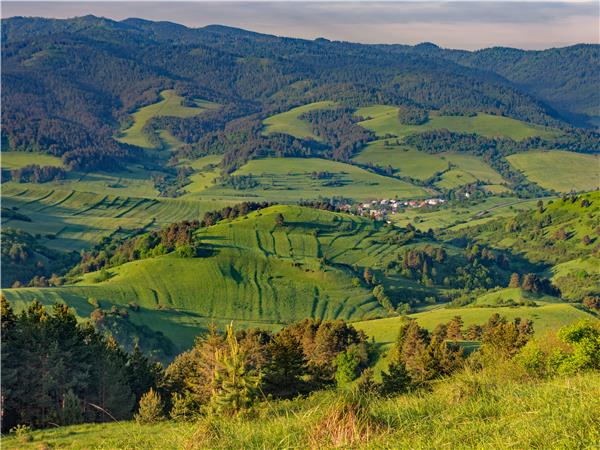 Carpathian Mountains holiday, conservation & culture
