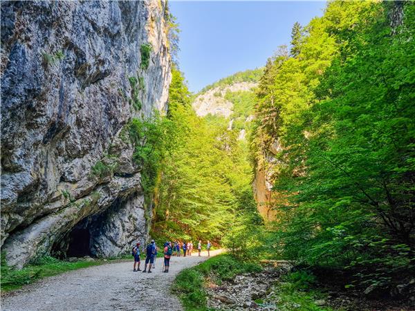 Carpathian Mountains holiday, conservation & culture