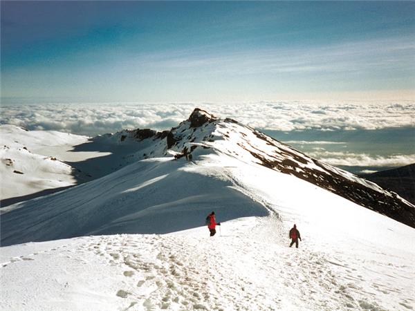 Kilimanjaro climb, Rongai route
