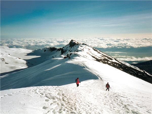 Kilimanjaro climb, Rongai route